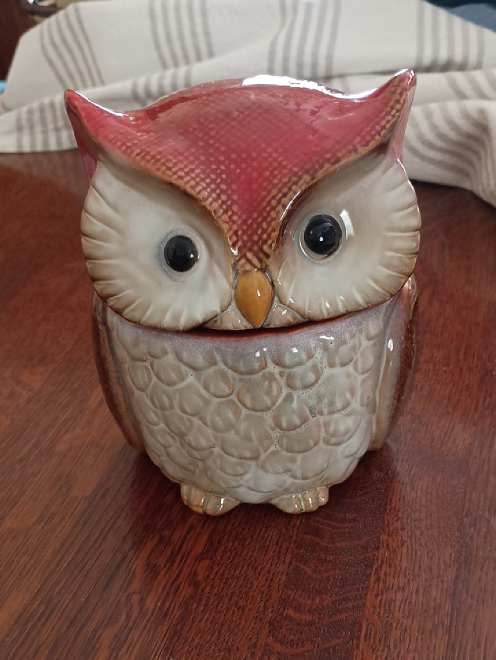 Vintage 7"  Harvest Spice Ceramic Owl Canister Cookie Jar